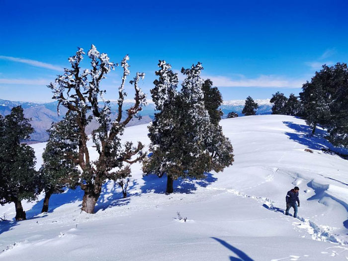 Nag Tibba Trek