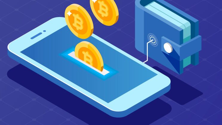 A Brief Guide On Crypto Wallet For Beginners