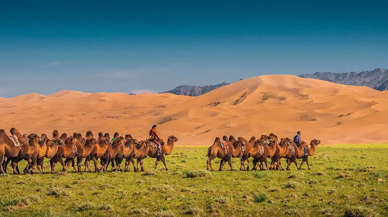 travel to Mongolia from us