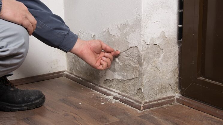 How to Claim Compensation For Damp and Mould in Your Home