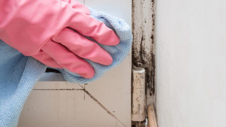 How to Claim Compensation For Housing Disrepair