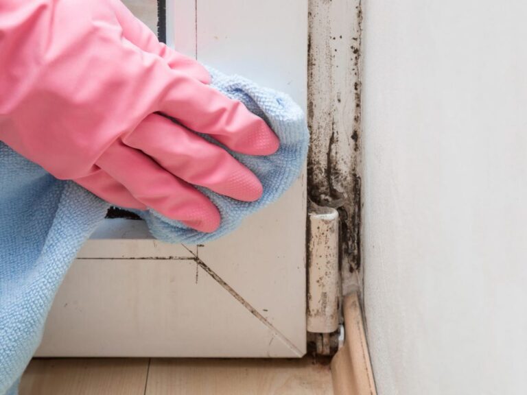 housing disrepair