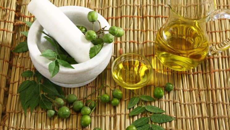 Neem health benefits for men’s health